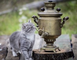 Правильное лето должно быть с самоваром